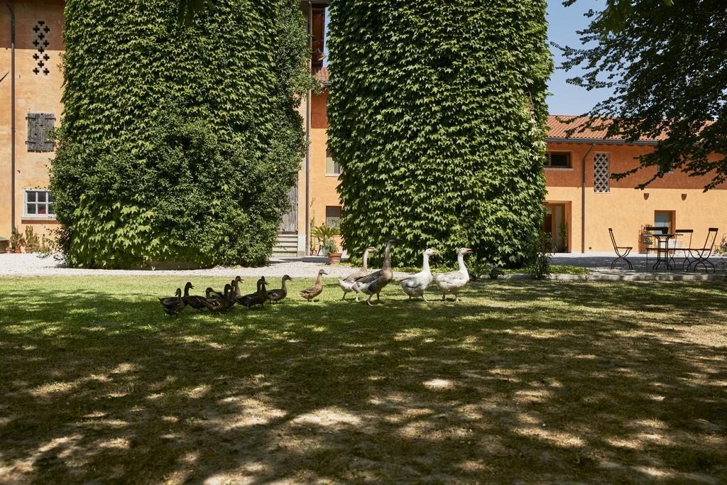 Al Canton Agriturismo Di Design Сан-Микеле-аль-Тальяменто Экстерьер фото