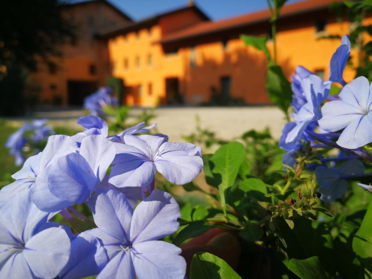 Al Canton Agriturismo Di Design Сан-Микеле-аль-Тальяменто Экстерьер фото