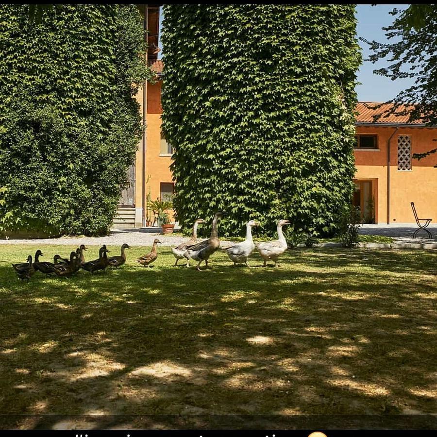 Al Canton Agriturismo Di Design Сан-Микеле-аль-Тальяменто Экстерьер фото